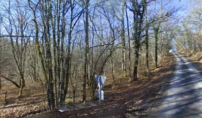 Néliès, Papeterie à Carsac-de-Gurson