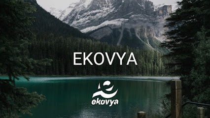Ekovya, Magasin De Fournitures De Bureau à Lyon 08