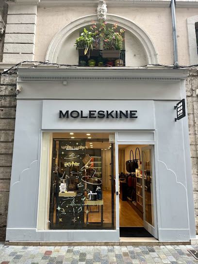 Moleskine Lyon, Papeterie à Lyon 02